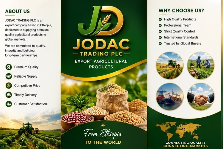 Company Brochure