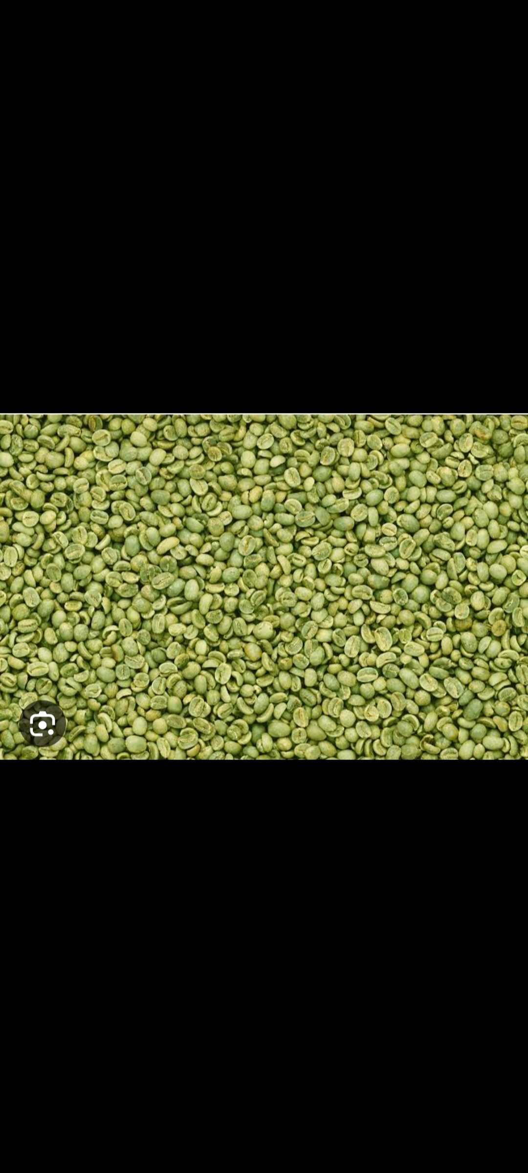 Green coffee beans export quality
