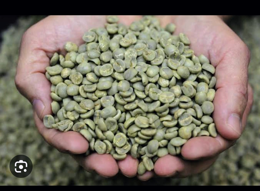 Coffee export operations