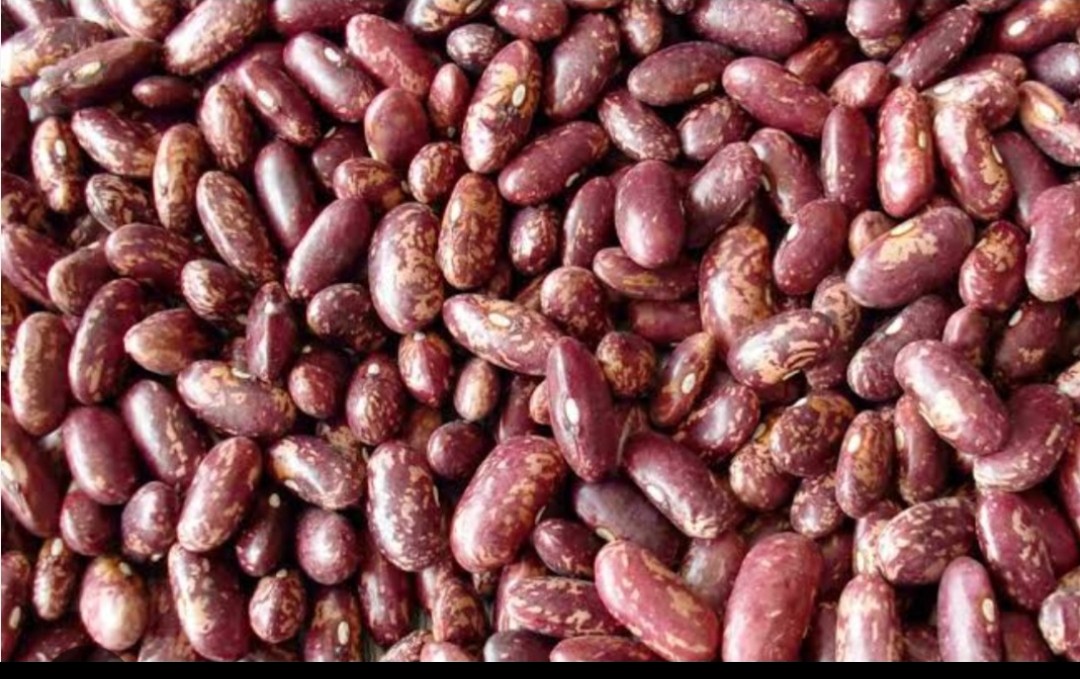 Red Kidney Beans
