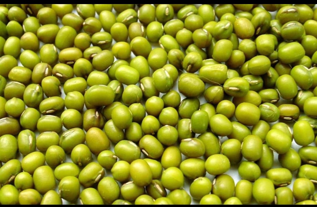 Green Mung Beans