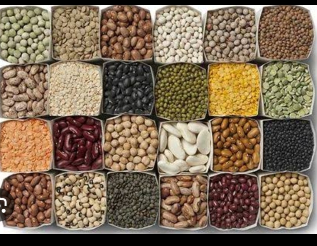 Soya Beans
