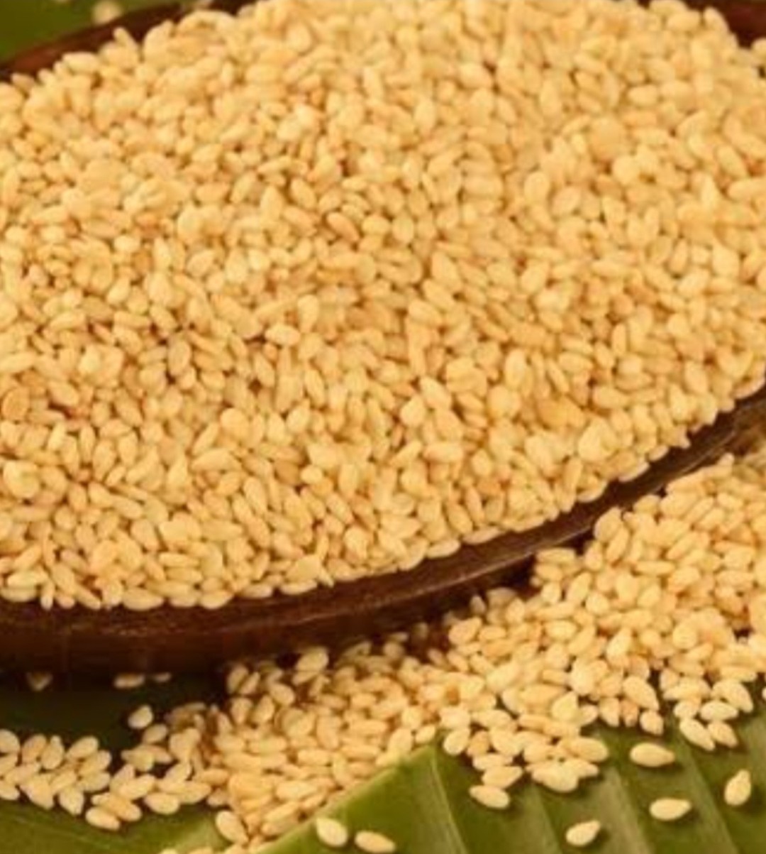 Sesame Seeds Humera Type