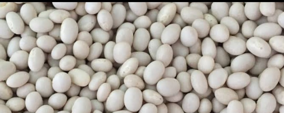 White Pea Beans